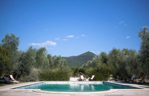 Agriturismo Tra gli Ulivi, Chiappini Winery - Photo 1