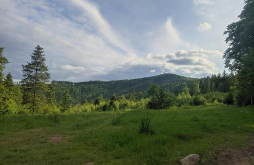Zacisze na Wzgórzu - Foto 28