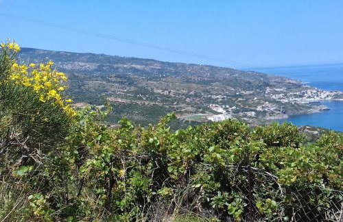 Ikarian Centre - Accommodation & mountain hiking - Photo 26