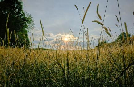 Holzhaus Onkel Fritz mit Sauna und Whirlwanne - Foto 44