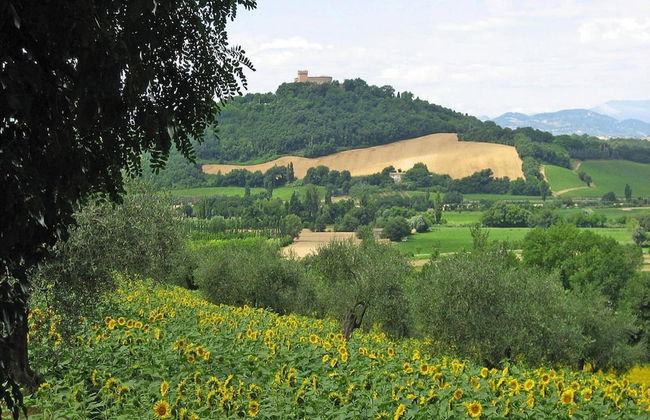 Casa Mare Vallugola di Gabicce, Vallugola - Foto 19