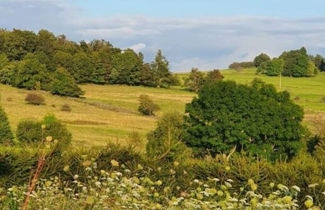 Holiday Home Birx Rhon - Foto 22