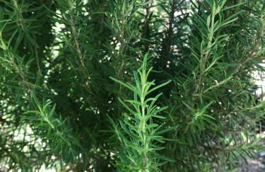 Beautiful Farm House - Foto 19