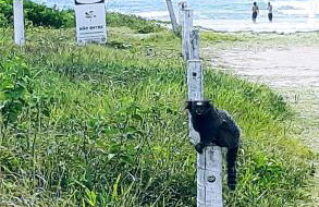 Suites PRISCO BEACH - Foto 34