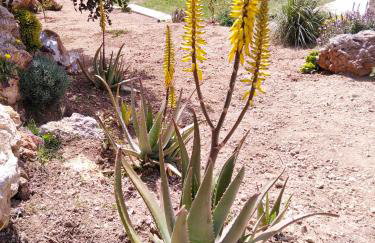 Roussa's House - Foto 58