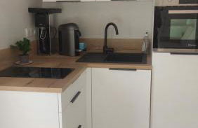 La Soldanelle vue lac et montagnes - Photo 17