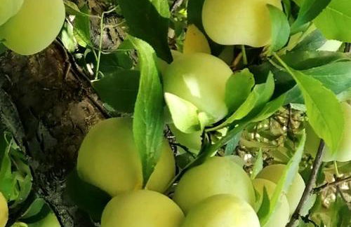 Sogno Mediterraneo Pula Sardegna villa a soli 300 mt dal mare - Foto 46