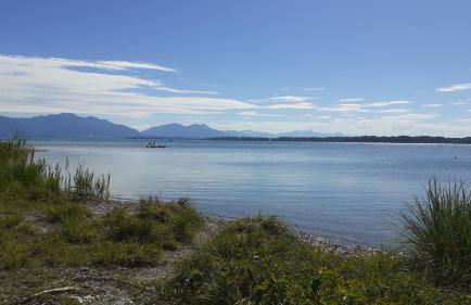 Familiennest Vogelwuid - Photo 6