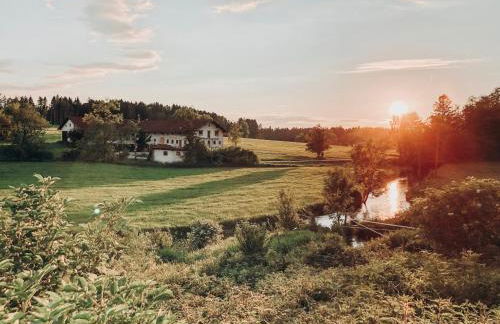 Ferienhof Petermühle Urlaub mit Alpakas - Foto 44