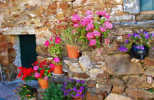 O Palheiro - Vista Panorâmica e Jacuzzi - Foto 47
