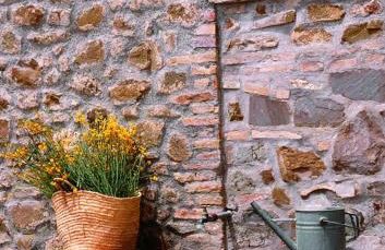 Tenuta San Filippo - Foto 32