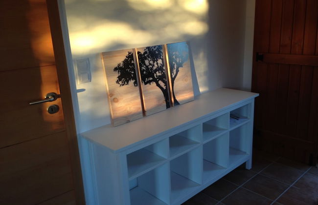 Tons da Terra - Foto 16