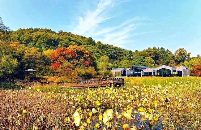 Haeyeorim Village - Foto 19