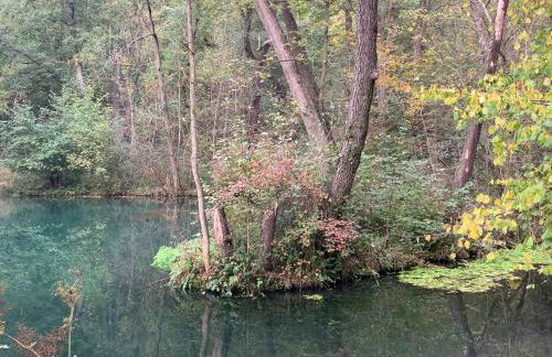 Ferienhaus Dornröschen - Foto 37