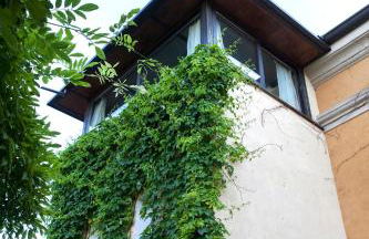 Corte Mainolda - Foto 65