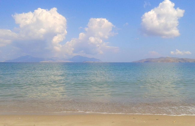 Anthia Apartments - Photo 27