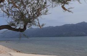 Studio apartman T and T - Photo 25