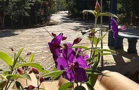 CHALÉ DO VALE - EXCLUSIVIDADE E CONFORTO!! - Foto 36