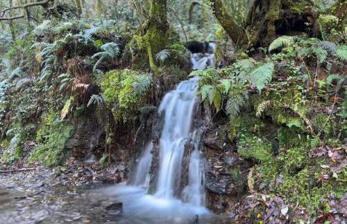 Adiva Casa Da Avoa - Photo 50