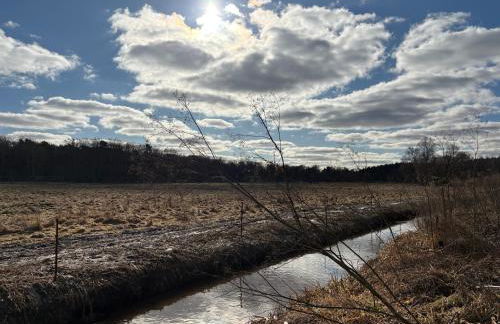 Gemütliches Studio am Stadtrand Haustierfreundlich - Photo 26