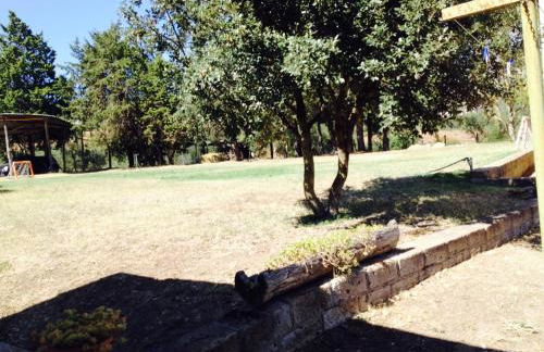 Il Bettarello - Foto 28