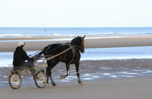 les Bains de Mer - Photo 26