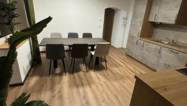 Moderne große Wohnung mit Garten - Foto 5