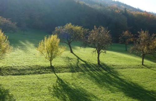 Comfortable Holiday Home in a Beautiful Location - Foto 61