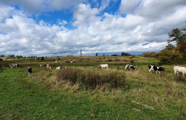 Villa in Nijmegen With VIP Amenities - Foto 30