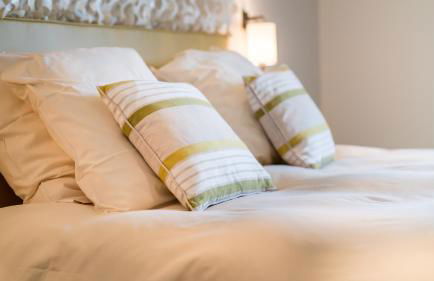 Cottage "La CANOPEE" à quelques pas du Lac de la forêt d'Orient - Les Cottages du Belvédère - Foto 3