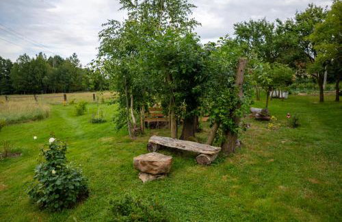 Róże i Jabłonie Agroturystyka - Foto 56