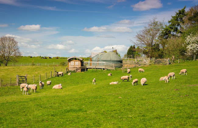 Mongolian Yurts Fordhall Organic Farm - Photo 31