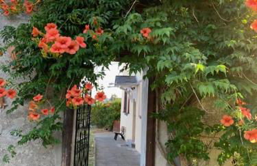 Gästehaus auf der Burg im Vulkan Park Laacher See - Foto 17