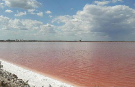 La Casa di Nonna Francesca - Foto 27