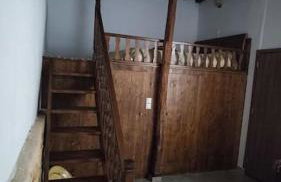 Heliophilia Malona - Photo 10