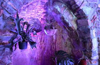 Il Giardino di Gio' - Foto 40