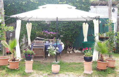 Der Konikhof, Natur, Ruhe, R-Auszeit - Photo 7