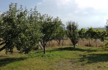 Peaceful cottage with incredible panoramic view - Foto 13