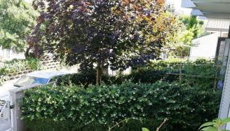 Margherita Rimini - Appartamenti al Mare - Foto 5