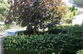 Margherita Rimini - Appartamenti al Mare - Foto 5