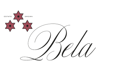 Bodega Bela - Villalba de Duero (Burgos) - Photo 8