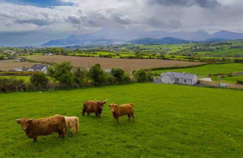 Roddys cottage three bedroom with hot tub sleeps6 - Foto 18