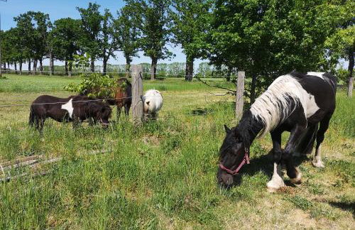Ferienwohnung Czampiel - Photo 17