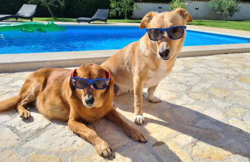 Villa Baleta - Foto 13