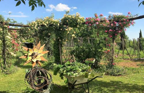 Maso Di Villa Relais di Campagna - Foto 28