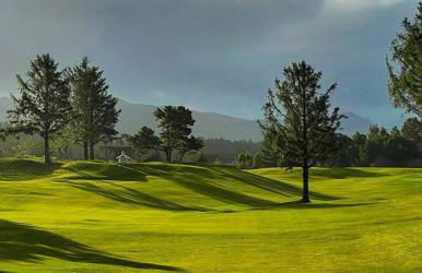 Gearhart Highlands • Hot Tub • Golf • Dog Friendly - Foto 13