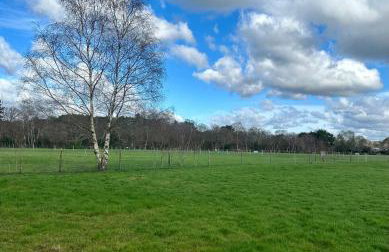 Little Hill Farm Villa - Photo 25