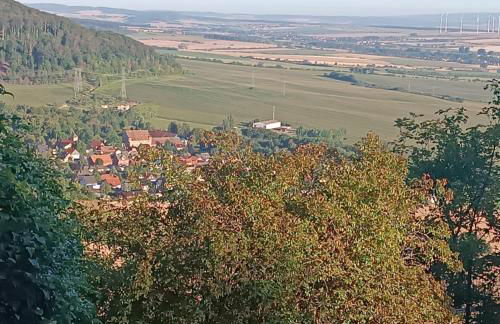 Ferienhaus Waldperle Harzblick - Foto 10