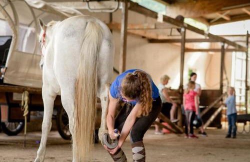 Nengshof Ferienhäuser Sonnenblume und Heublume - Foto 49