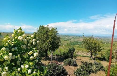 NiFe Tiny House - Secret Garden - Photo 10